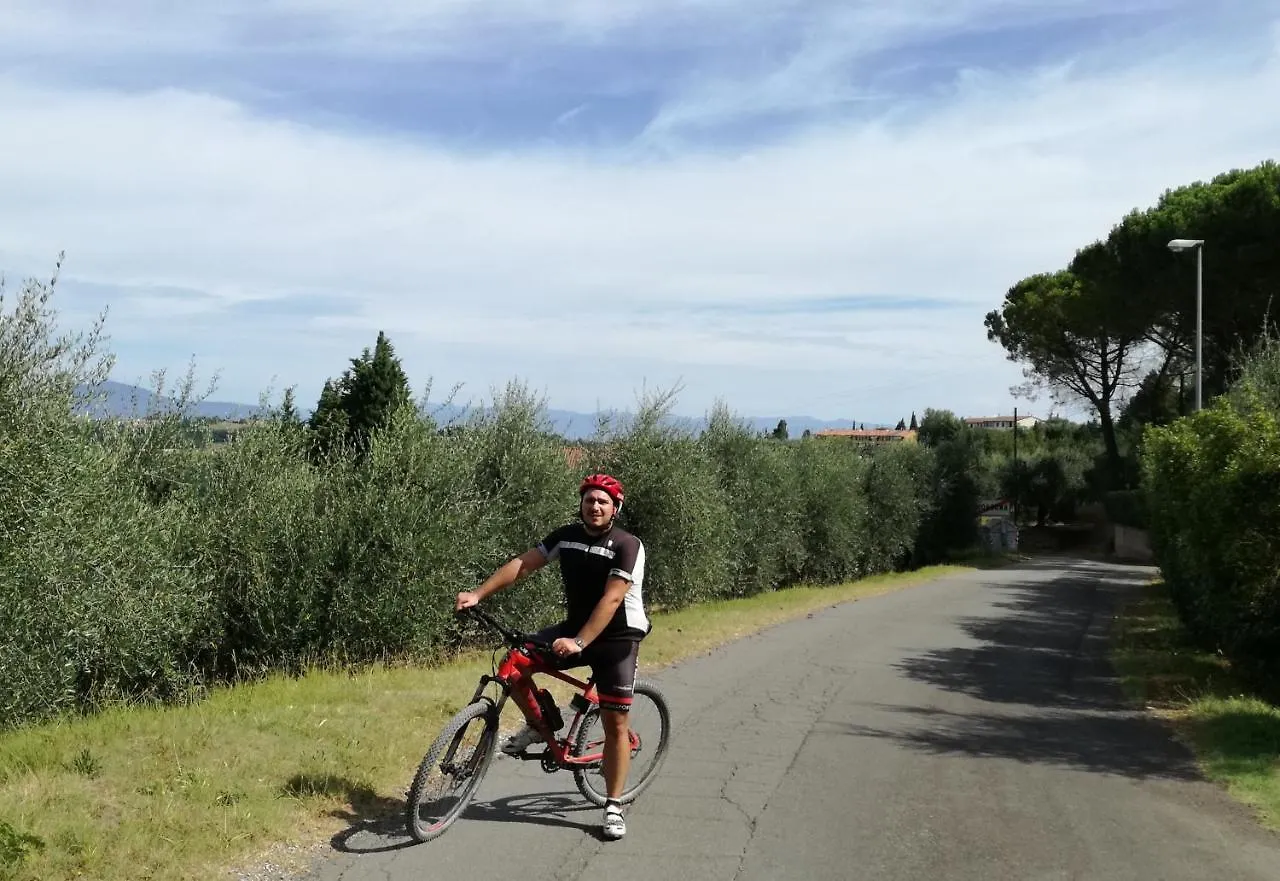 Tuscany Life Terricciola Italy